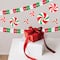 Beistle; Beistle 12ft. Red, White & Green Arcade Garlands, 2ct.; Category:Streamers & Garland; Image:3